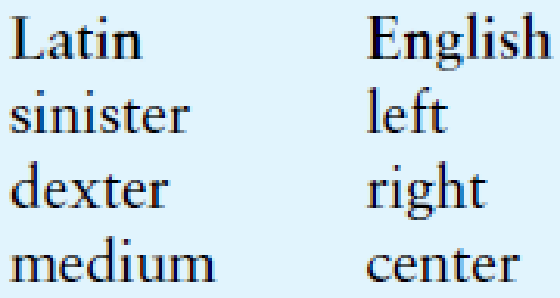 Chapter 2, Problem 1PP, Latin Translator Look at the following list of Latin words and their meanings: Create an application 