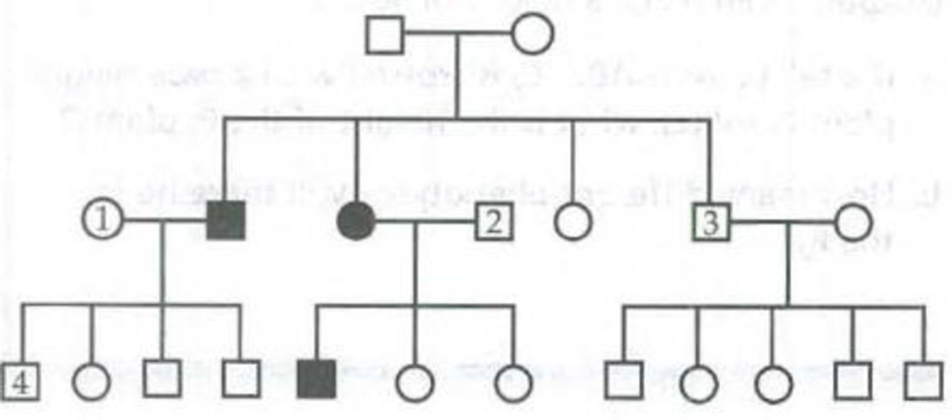Chapter 14, Problem 8IQ, Consider the following pedigree for the trait albinism (lack of skin pigmentation) in three 