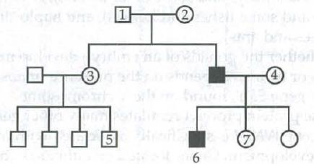 Chapter 15, Problem 2IQ, Two normal color-sighted individuals have two children and seven grandchildren. Fill in the probable 