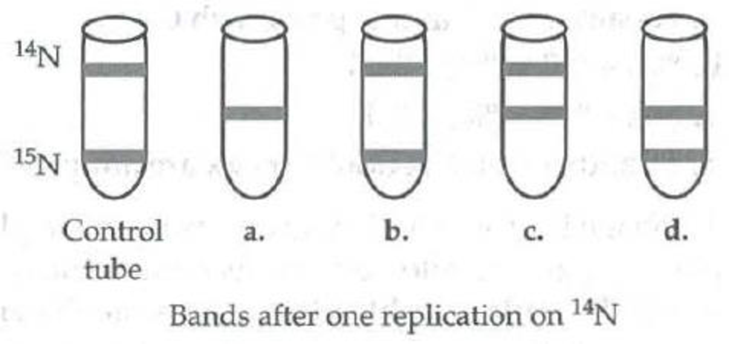 Chapter 16, Problem 20TYK, Given the experimental procedure explained in question 19, which centrifuge tube (obtained after one 
