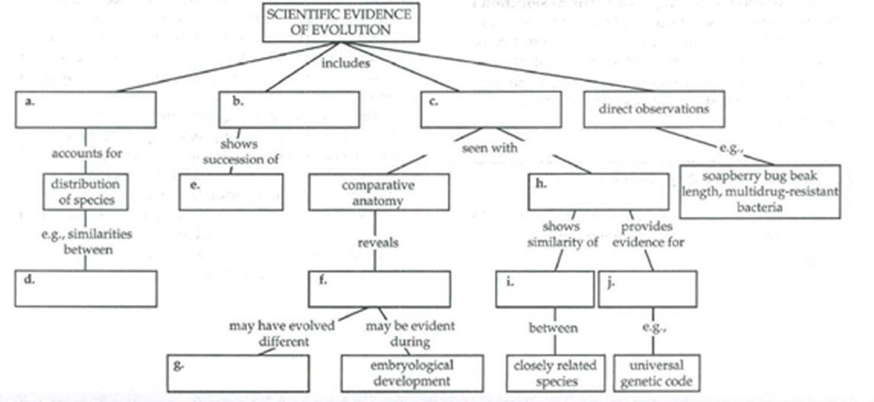 Chapter 22, Problem 4IQ, Complete the following concept map that summarizes the main sources of evidence for evolution. 