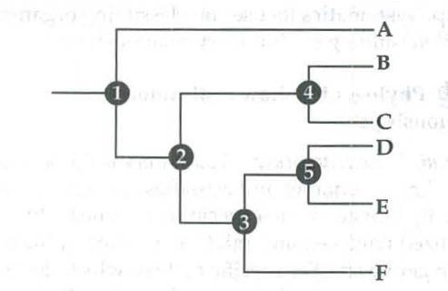 Chapter 26, Problem 1IQ, a. In this hypothetical phylogenetic tree, which number represents the common ancestor of all the 