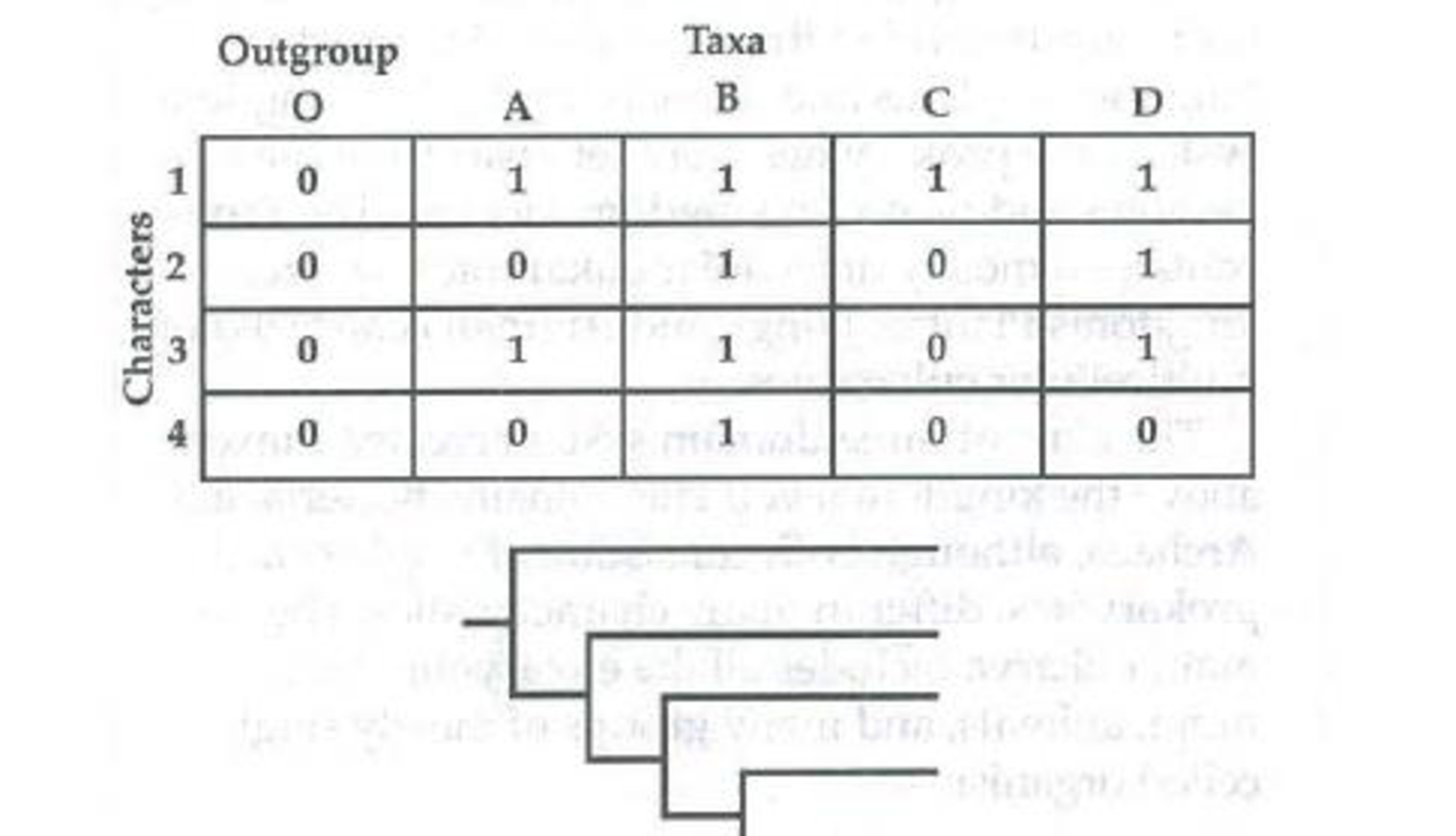Chapter 26, Problem 3IQ, Place the taxa (outgroup. A, B, C, and D) on the following phylogenetic tree based on the presence 