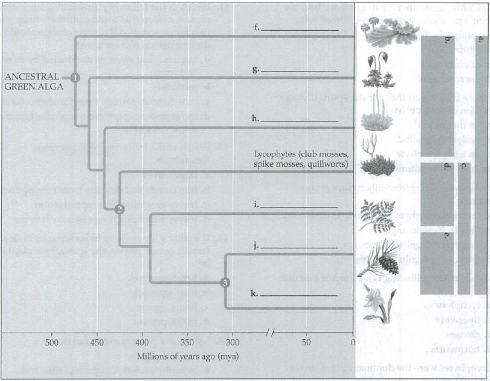 Chapter 29, Problem 2SYK, The diagram on the following page presents a widely held view of plant phylogeny. Fill in blanks ae 
