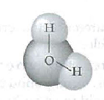 Chapter 3, Problem 1IQ, Draw the four water molecules that can hydrogen-bond to this water molecule. Label the bonds and the 
