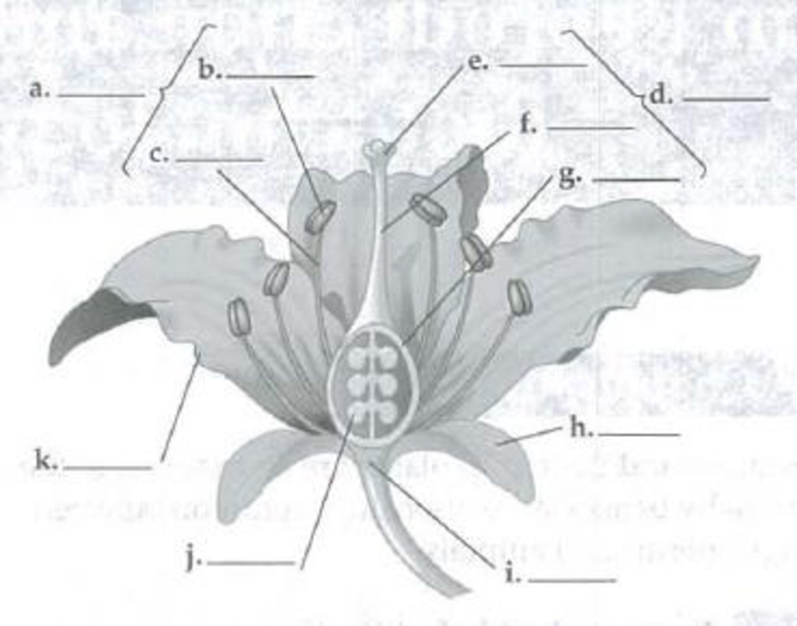 Chapter 38, Problem 1IQ, Identify the flower parts in the following diagram. 