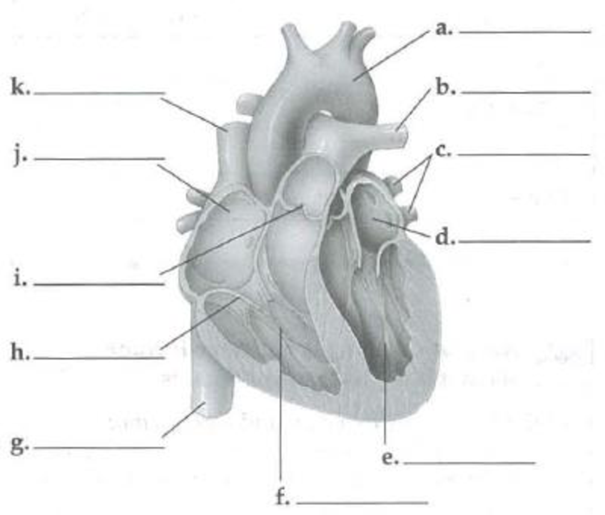 Chapter 42, Problem 1SYK, Identify the labeled structures in the following diagram of a human heart. Draw arrows to trace the 