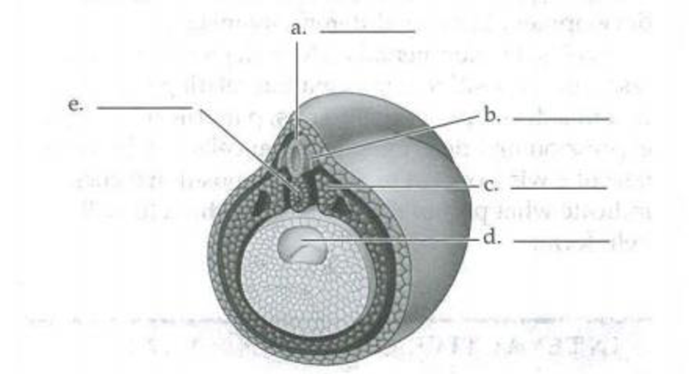 Chapter 47, Problem 5IQ, Label the indicated structures in the following diagram of organogenesis in a frog embryo. 