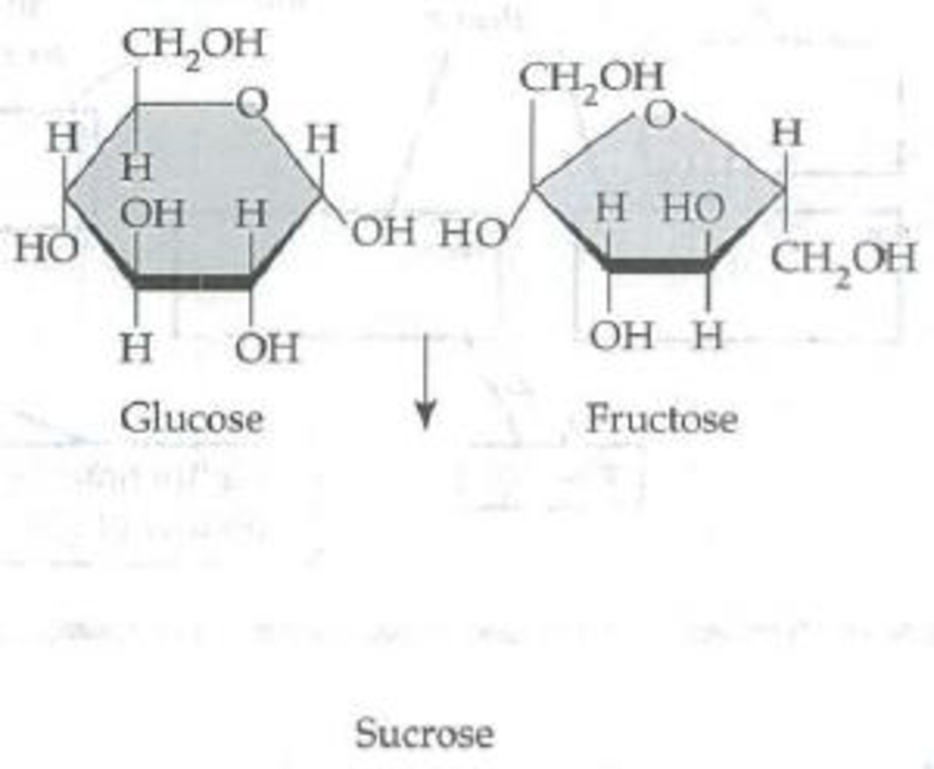 Chapter 5, Problem 3IQ, Number the carbons in the following glucose and fructose molecules (each unlabeled corner of the 