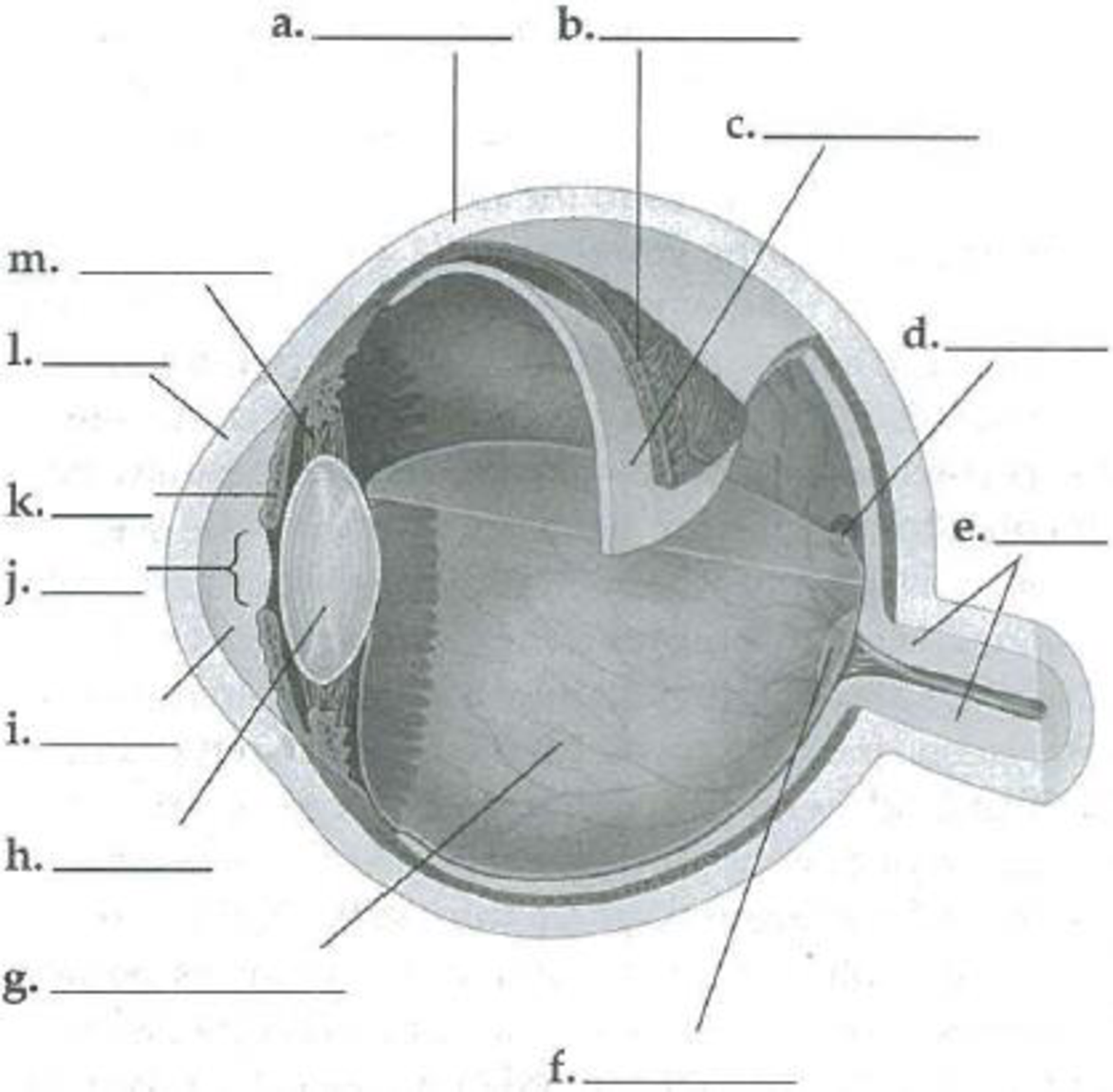 Chapter 50, Problem 4IQ, Label the parts of the human eye in the following illustration. 