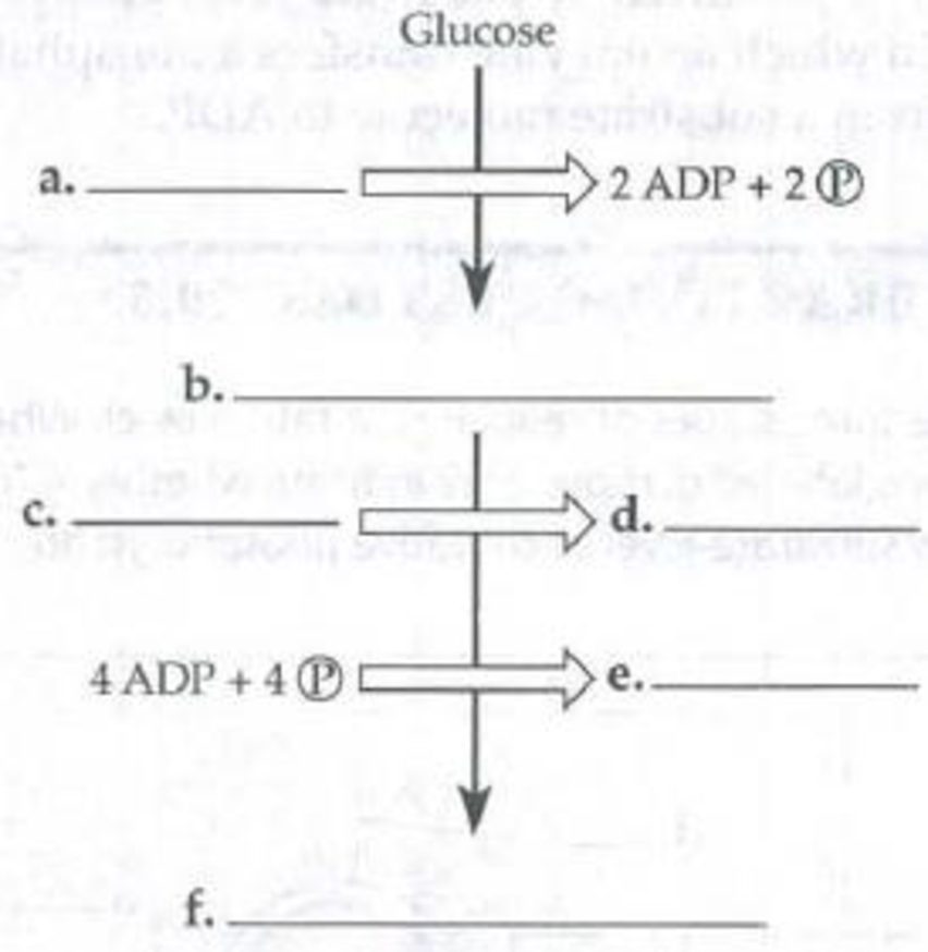 Chapter 9, Problem 6IQ, Fill in the blanks in the following summary diagram of glycolysis. 