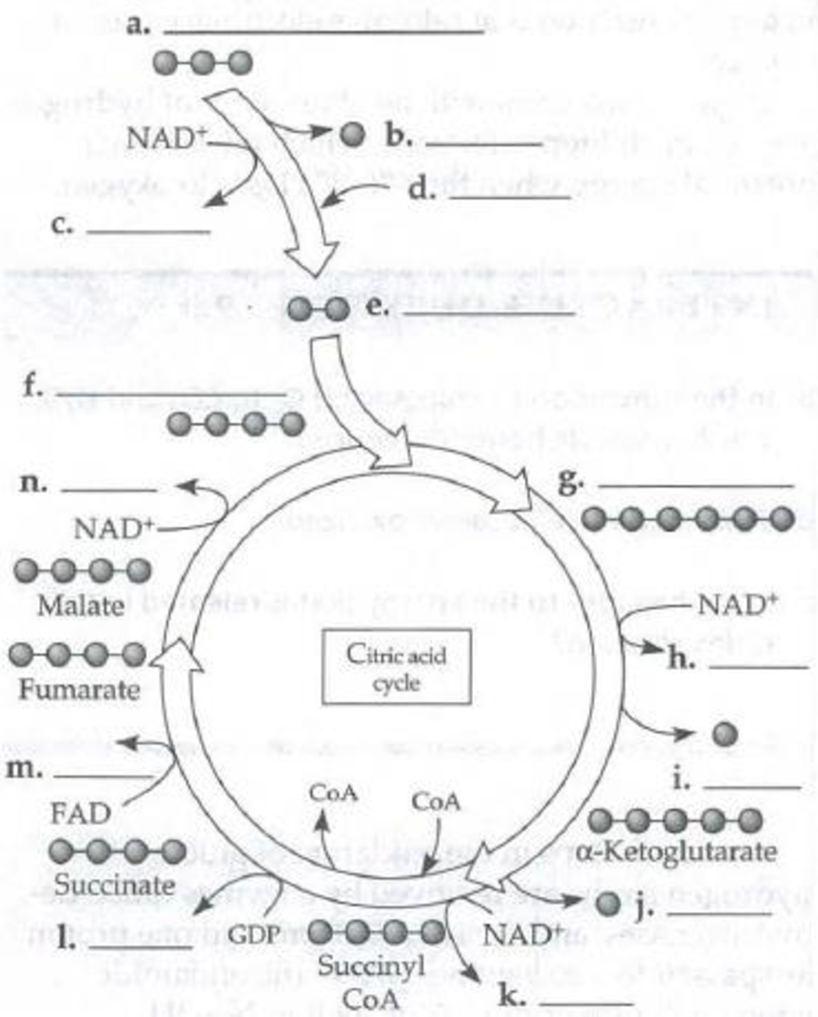 Chapter 9, Problem 7IQ, Fill in the blanks in the following diagram of the citric acid cycle. Gray balls represent carbon 