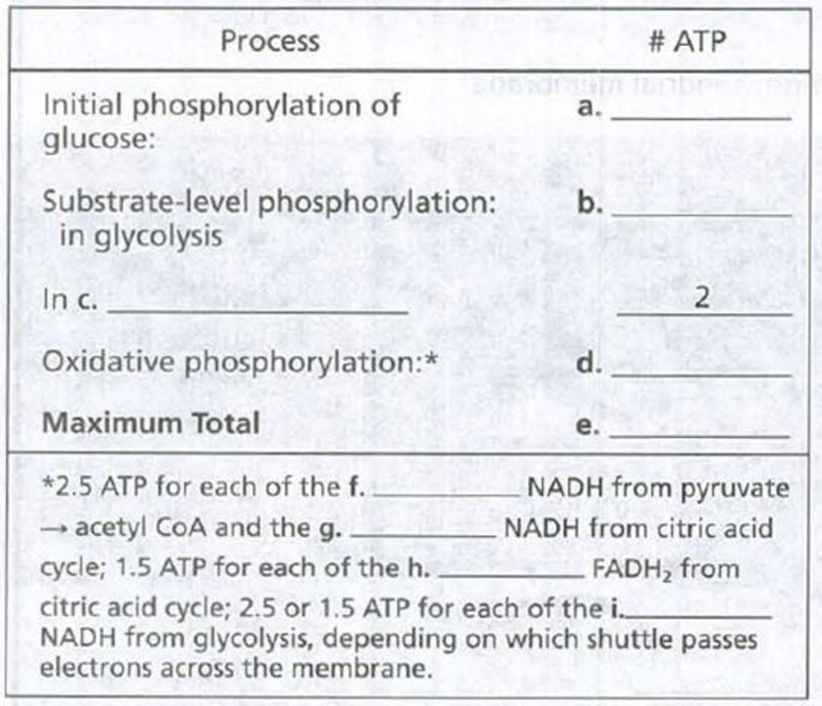 Chapter 9, Problem 9IQ, Fill in the following tally for the maximum ATP yield from the oxidation of one molecule of glucose 