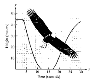 Chapter 2, Problem 29RE, The graph shows the height, in meters, of an eagle in terms of its time, in seconds, in flight. a. 