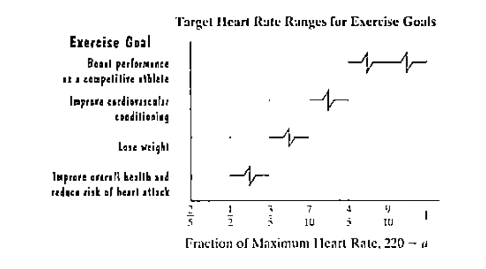 Chapter P.1, Problem 129E, Application Exercises The maximum heart rate, in beats per minute, that yon should achieve during 