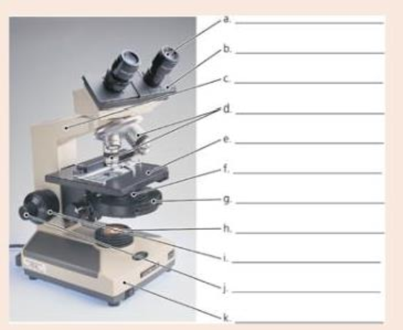 Chapter 4, Problem 2VI, Label the microscope. 