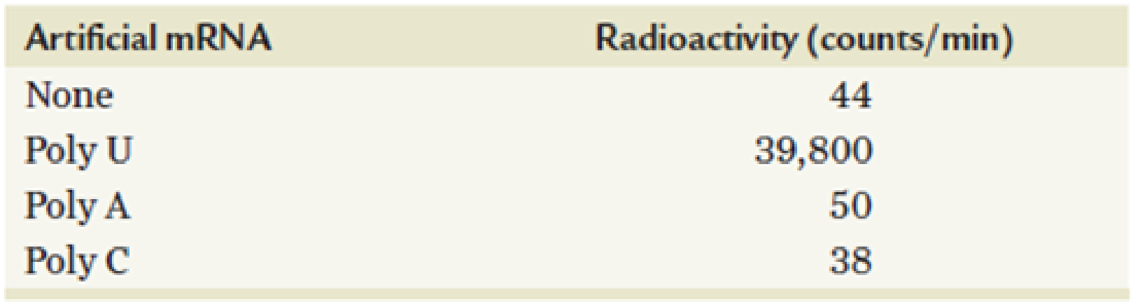 Chapter 13, Problem 11PDQ, Refer to Table 13.1. Can you hypothesize why a synthetic RNA composed of a mixture of poly U + poly 