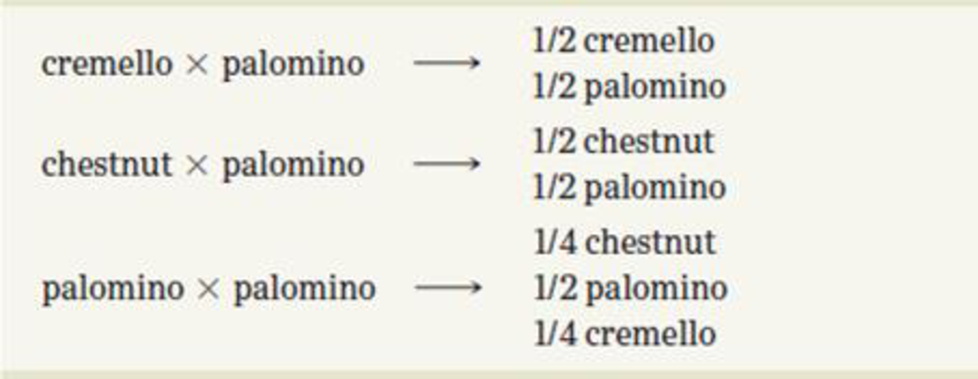 Chapter 4, Problem 14PDQ, Horses can be cremello (a light cream color), chestnut (a brownish color), or palomino (a golden 