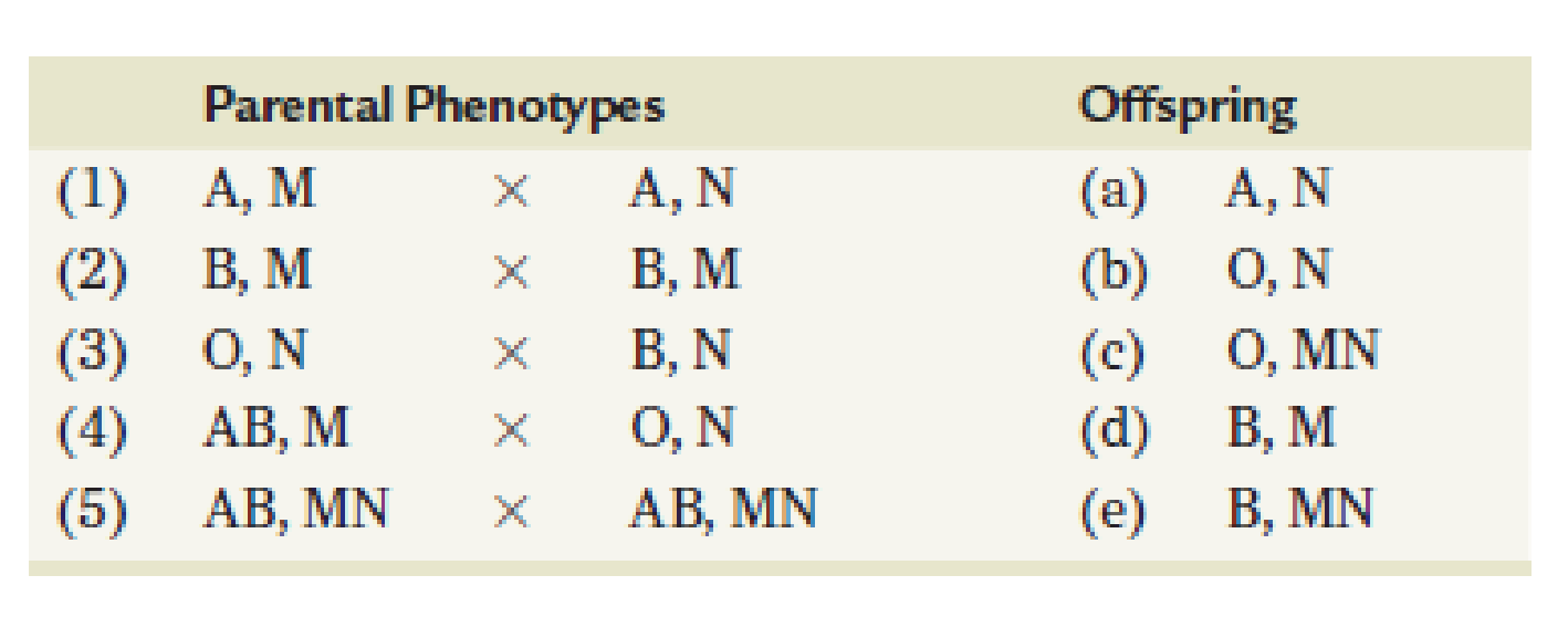 Chapter 4, Problem 22PDQ, Five human matings (15), identified by both maternal and paternal phenotypes for ABO and MN 