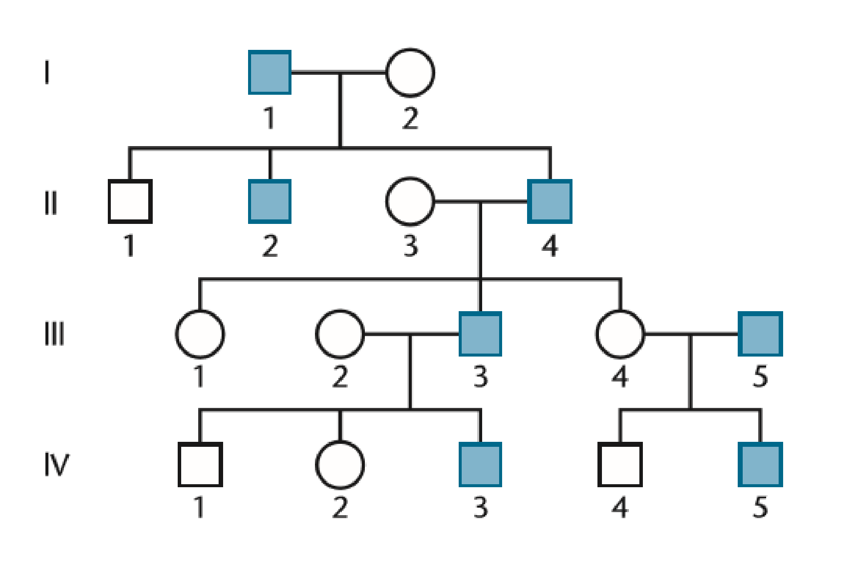 Chapter 4, Problem 40ESP, The following pedigree is characteristic of an inherited condition known as male precocious puberty, 