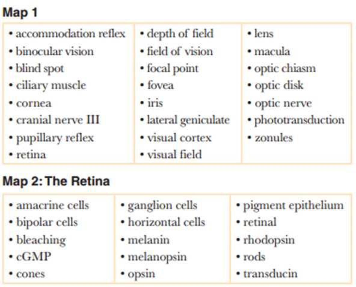 Chapter 10, Problem 30RQ, Map the following terms related to vision. Add terms if you wish. 