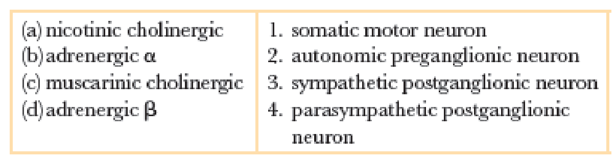 Chapter 11, Problem 15RQ, If a target cells receptor is _______ (use items in left column), the neuron(s) releasing 