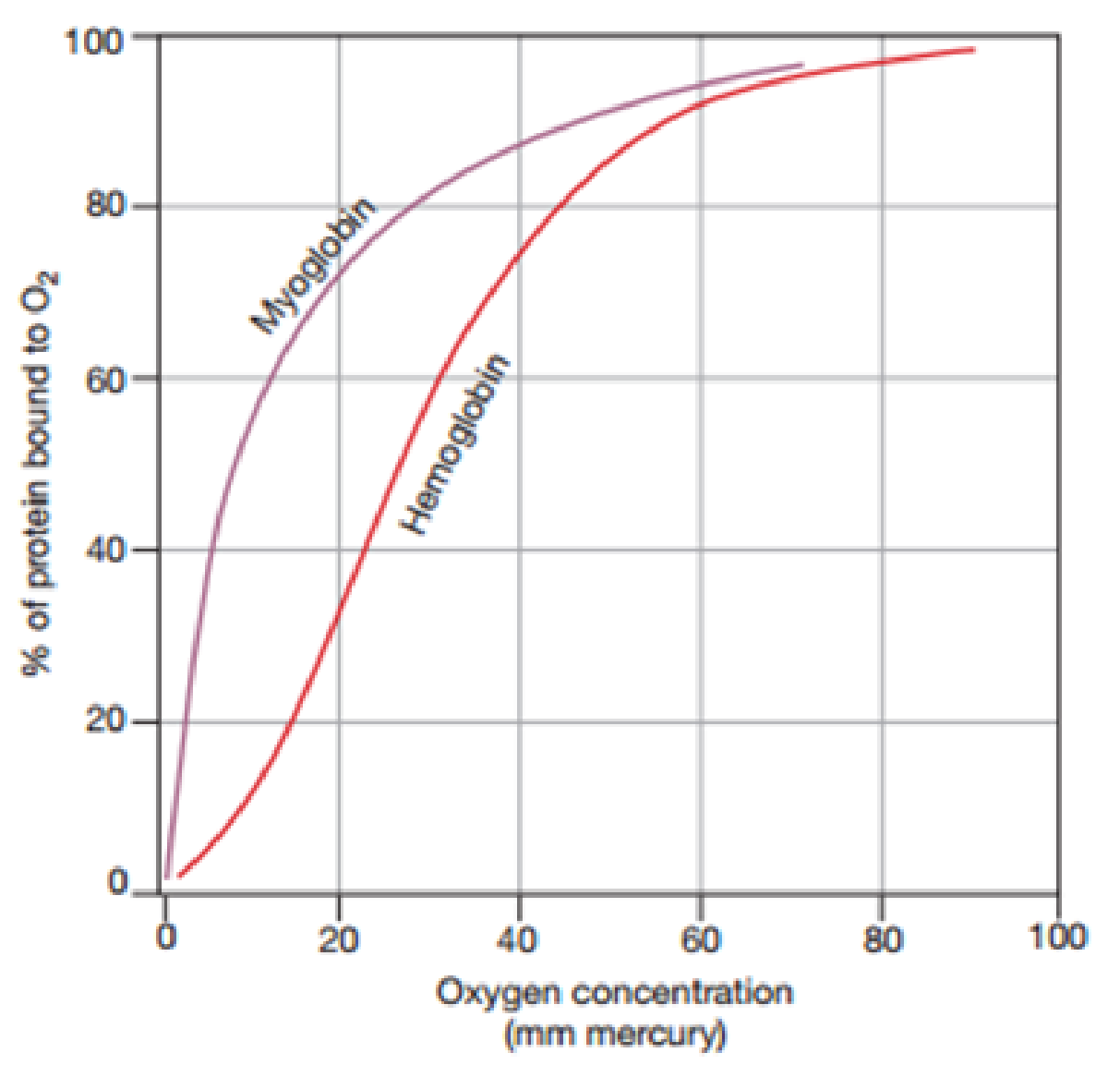 Chapter 2, Problem 26RQ, The graph shown below represents the binding of oxygen molecules (O2) to two different proteins, 