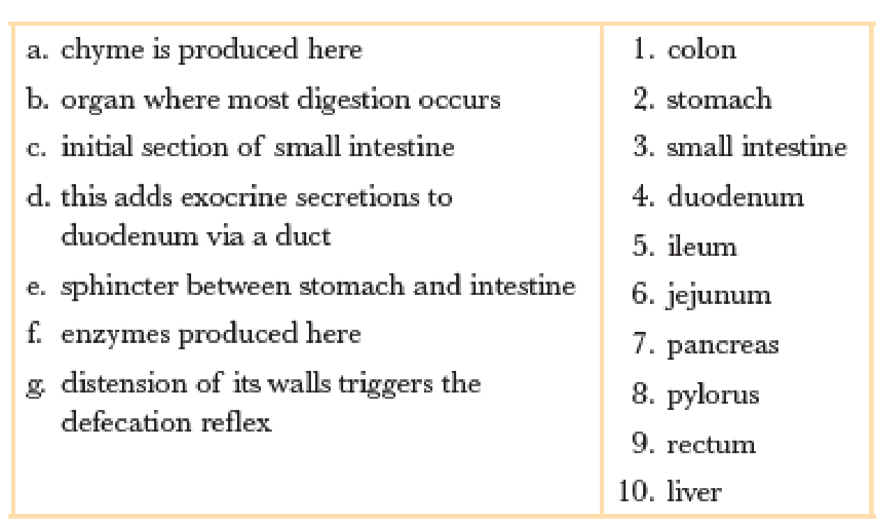 Chapter 21, Problem 1RQ, Match each of the following descriptions with the appropriate term(s): 