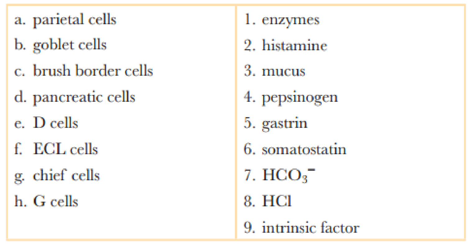 Chapter 21, Problem 9RQ, Match each of the following cells with the product(s) it secretes. Items may be used more than once. 