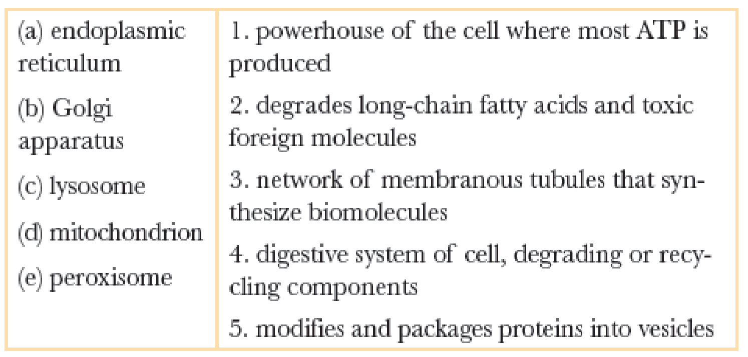 Chapter 3, Problem 8RQ, Match each organelle with its function: 
