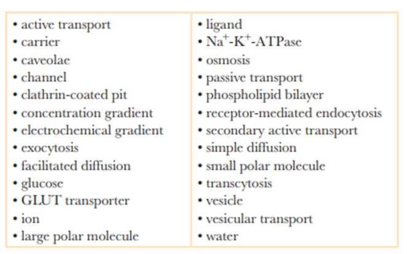 Chapter 5, Problem 17RQ, Create a map of transport across cell membranes using the following terms. You may add additional 