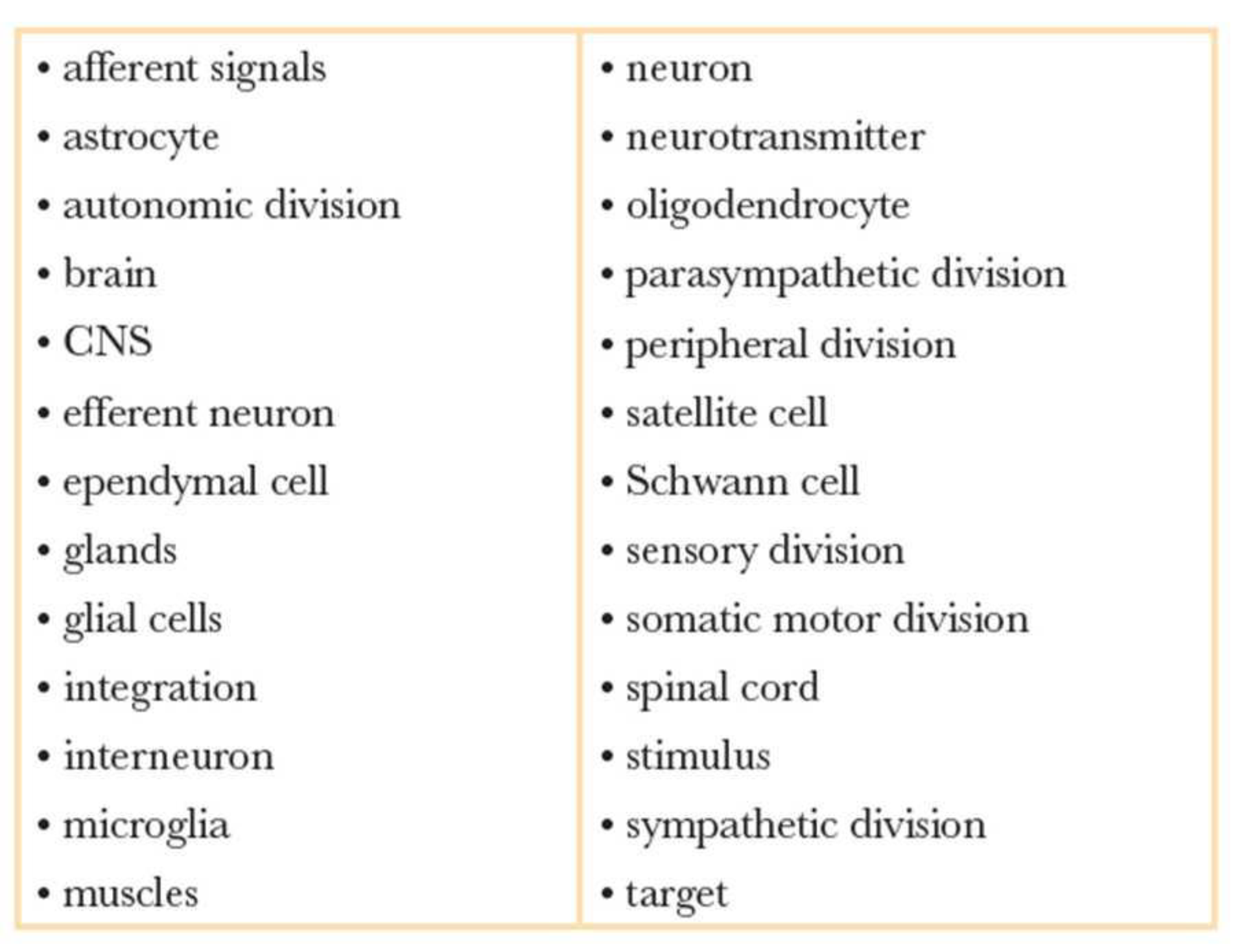 Chapter 8, Problem 20RQ, Create a map showing the organization of the nervous system using the following terms, plus any 