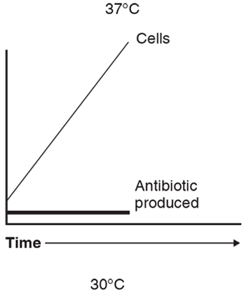 Chapter 20, Problem 3CT, You have isolated a bacterium that produces an antibiotic. The bacterium grows well at 37Â°C but , example  1