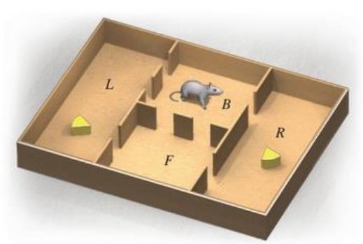 Chapter 9.3, Problem 67E, Psychology. A rat is placed in room F or room B of the maze shown in the figure. The rat wanders 