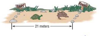 Chapter 10.6, Problem 83AYU, The Tortoise and the Hare In a 21-meter race between a tortoise and a hare, the tortoise leaves 9 