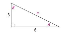 Chapter 8.6, Problem 83AYU, Solve the triangle. 