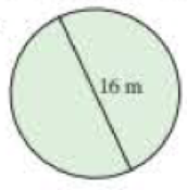 Chapter 9, Problem 17RE, Find the area of the circle in Exercise 11. Use 3.14 for .[9.3c] 11. 