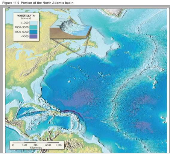 Chapter 10.3, Problem 8A, Circle the area along the east coast of the United States where the continental shelf is narrowest. 