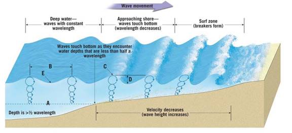 Chapter 11.2, Problem 3A, In shallow water, are water particles in the wave crest ahead of or behind those at the bottom of 
