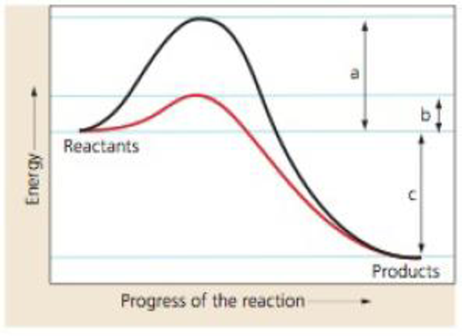 Chapter 5, Problem 13PS, Interpreting Data The graph illustrates two chemical reactions. Which curve represents the reaction 