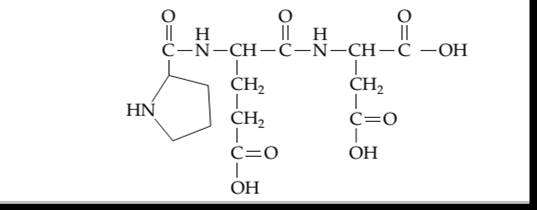 Chapter 23, Problem 23.116SP, Identify the amino acids present in the following tripeptide. 