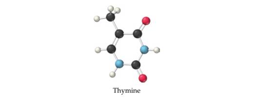 Chapter 23, Problem 23.36CP, The following structure is a representation of thymine, a constituent of DNA. Complete the structure 