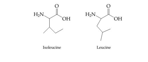 Chapter 23, Problem 23.46SP, The following line drawings represent two amino acids, leucine and isoleucine. Are these two 