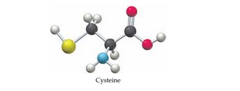 Chapter 3, Problem 3.33CP, What is the percent composition of cysteine, one of the 20 aminoacids commonly found in proteins? 