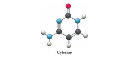 Chapter 3, Problem 3.34CP, Cytosine, a constituent of deoxyribonucleic acid (DNA),can be represented by the following molecular 