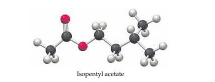 Chapter 3, Problem 3.80SP, Acetic acid (CH3CO2H) reacts with isopentyl alcohol (C5H12O) to yield isopentyl acetate (C7H14O2) , 