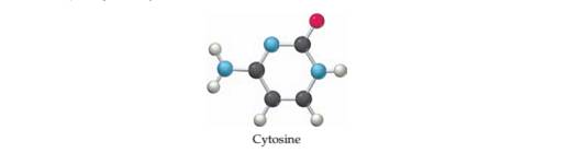 Chapter 7, Problem 7.15P, The following structure is a representation of cytosine, a constituent of the DNA found in all 
