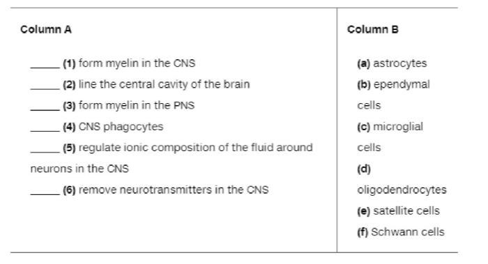 Chapter 12, Problem 2RQ, Match the names of the cells in column B with the function they perform, shown in column A. 