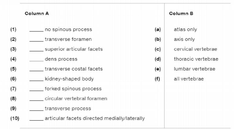 Chapter 7, Problem 6RQ, Match the vertebrae listed in column B with the features in column A. 