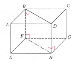 Chapter 11.1A, Problem 7A, The following figure is a rectangular box in which EFGH and ABCD are rectangles with BF and DH 